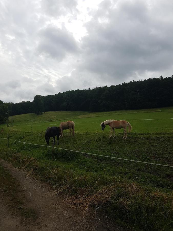 Ferienwohnung Am Thueringen Radweg Rauda Extérieur photo